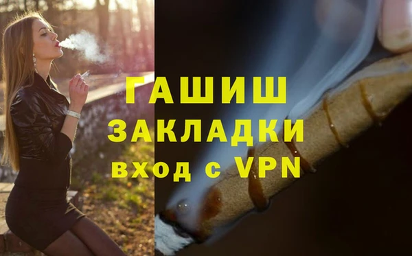 крисы Бородино