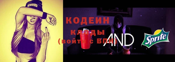 крисы Бородино