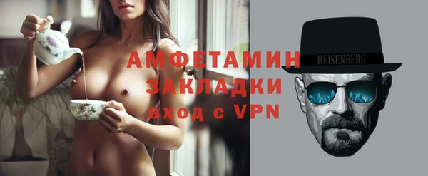 крисы Бородино