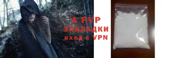 крисы Бородино