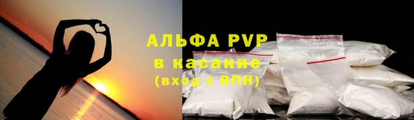 гашиш Богданович