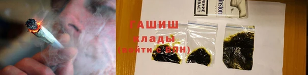 крисы Бородино