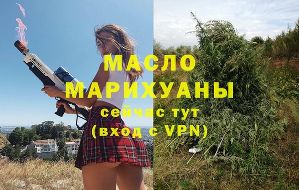 крисы Бородино