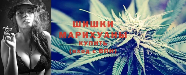 крисы Бородино