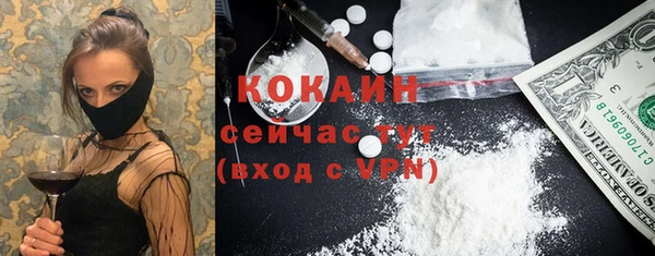 крисы Бородино