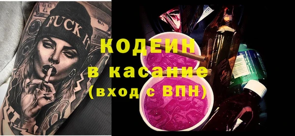 крисы Бородино
