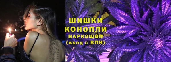 крисы Бородино