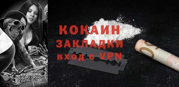 крисы Бородино