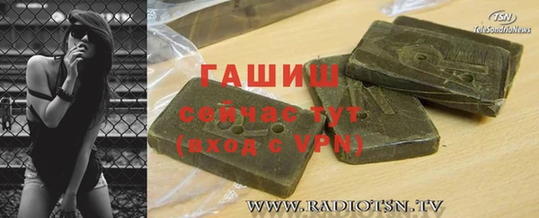 крисы Бородино