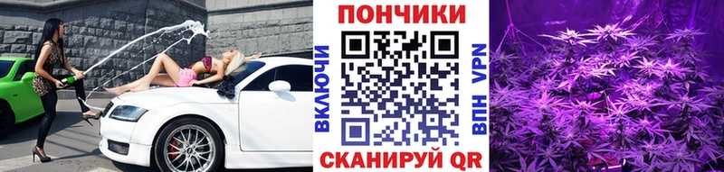 Купить  Кувандык  Бошки Шишки MAZAR 